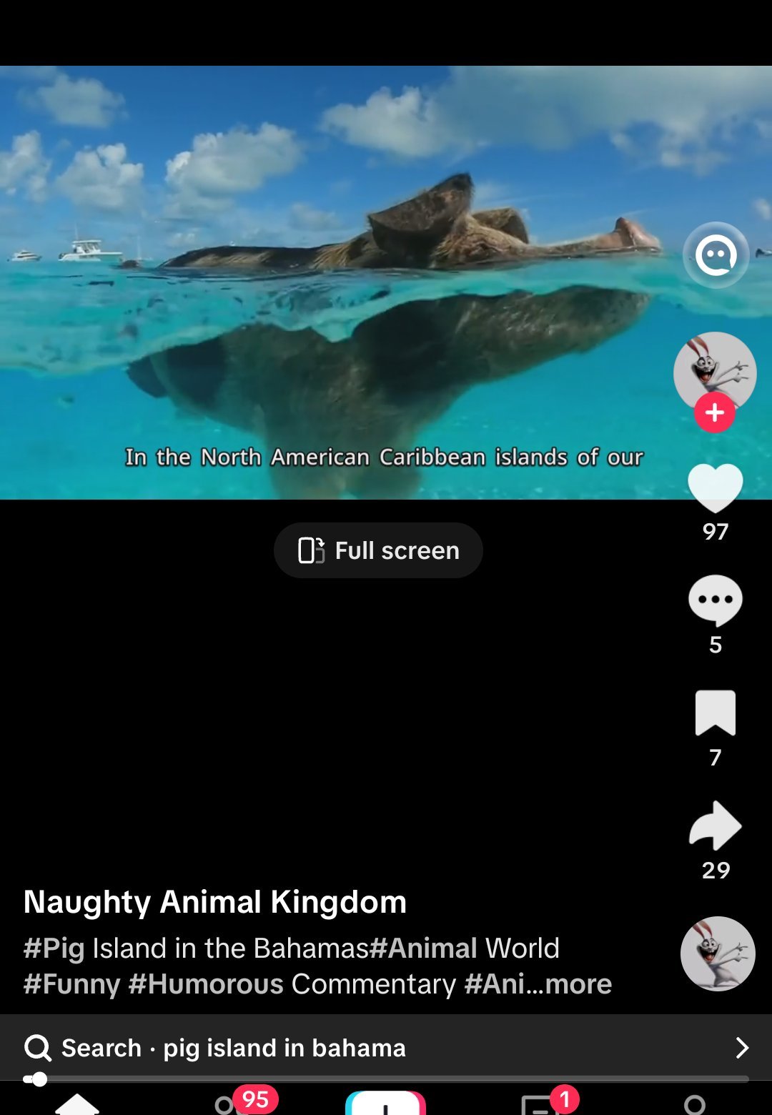 TikTok screenshot from the channel 'Naughty Animal Kingdom' showing a swimming pig of Big Major Cay, Bahamas — half above and half below the waterline of the clear Caribbean sea, with boats visible in the background. Caption: '#Pig Island in the Bahamas #Animal World #Funny #Humorous Commentary.' Subtitle overlay reads: 'In the North American Caribbean islands of our.' Engagement metrics: 97 likes, 5 comments, 7 saves, 29 shares. Bottom of frame shows TikTok auto-suggesting 'Search · pig island in bahama.'